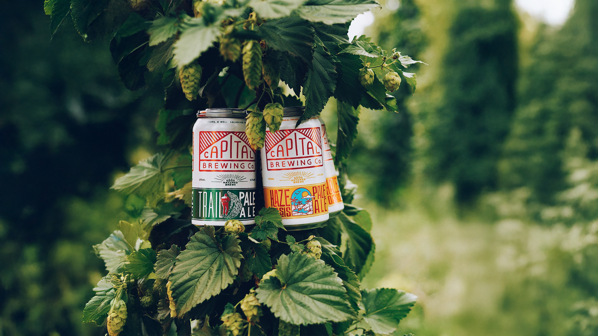 Capital Brewing